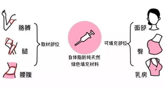 自体脂肪填充和玻尿酸填充哪个好